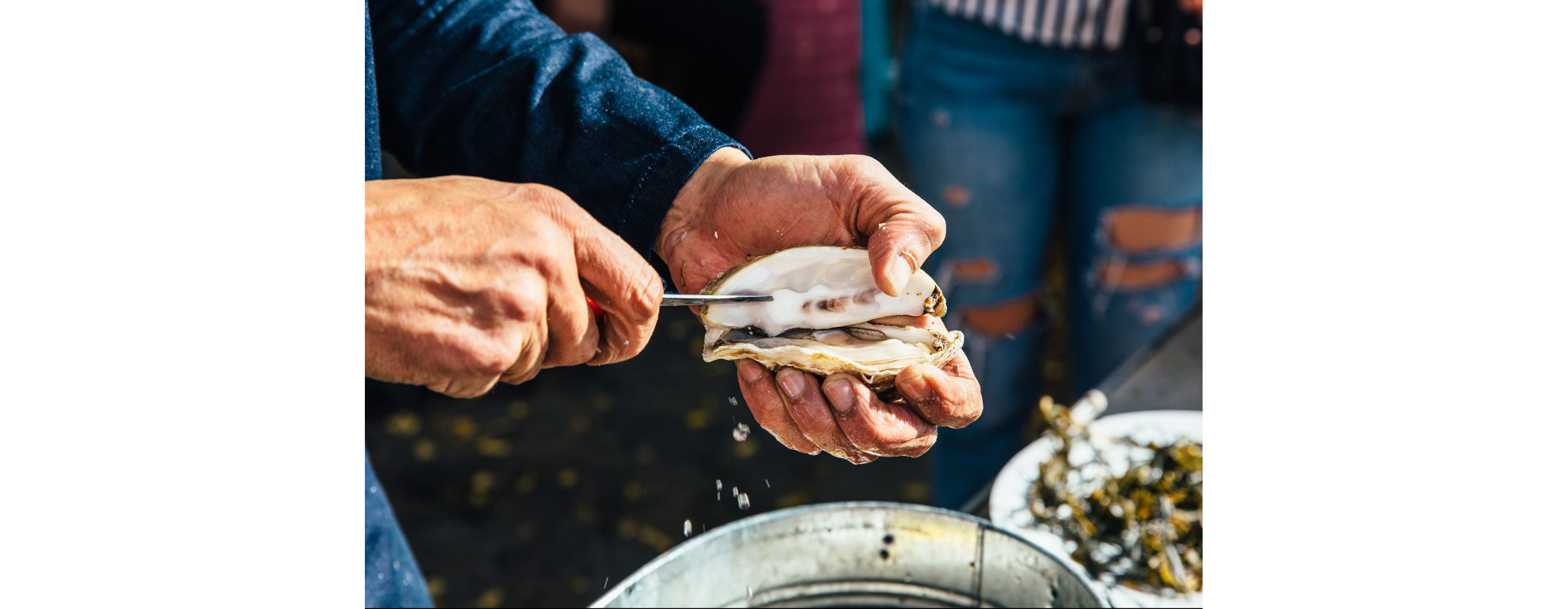 Strong hands expertly shucking fresh oysters.
