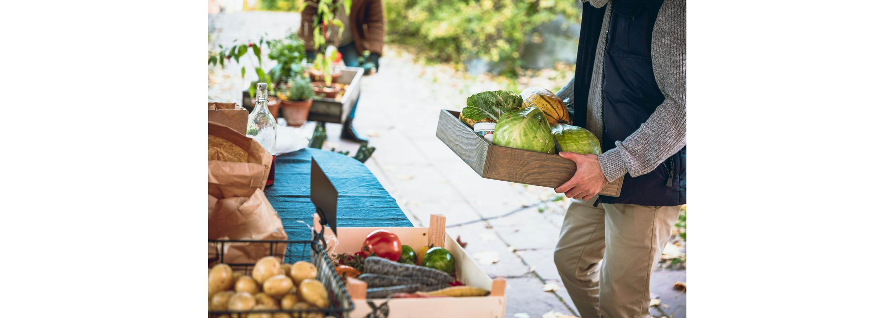 A person carrying a variety of fresh, organic vegetables.