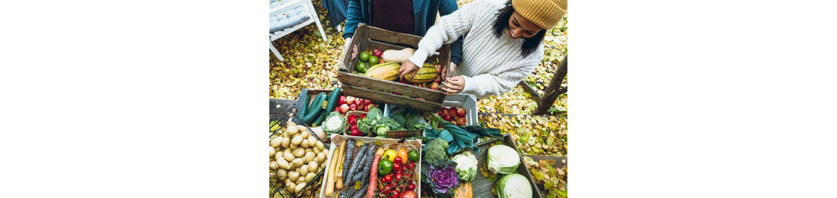 Two people choosing through assorted organic vegetables.
