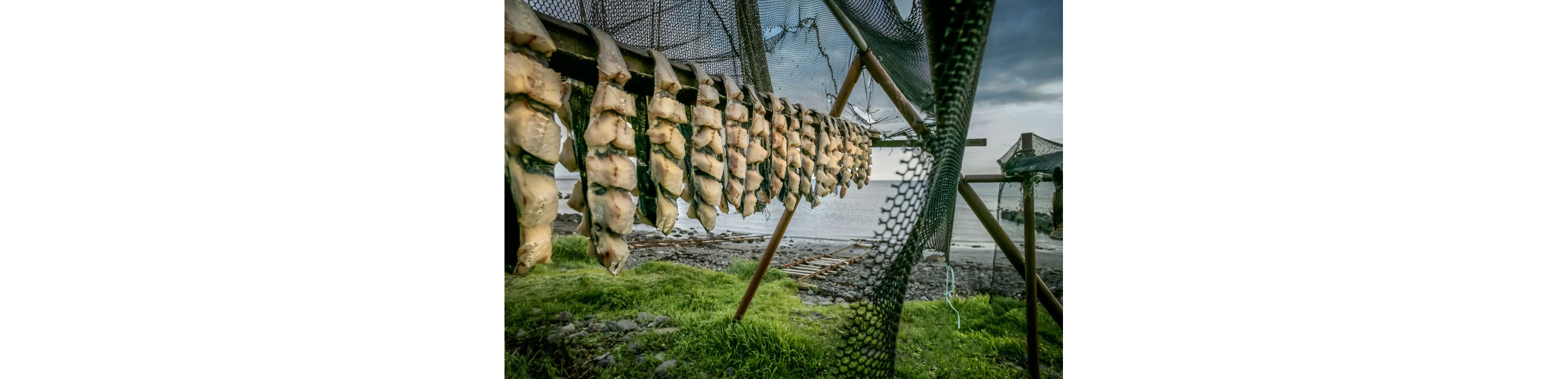 Sliced fillets of fish drying.