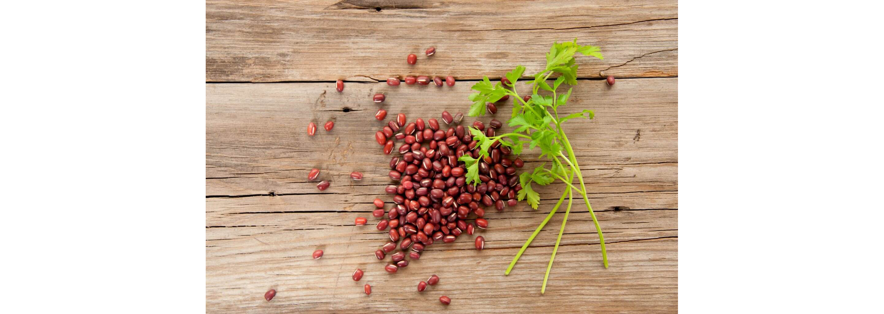 Anasazi beans and fresh cilantro resting on a clean, wooden table.