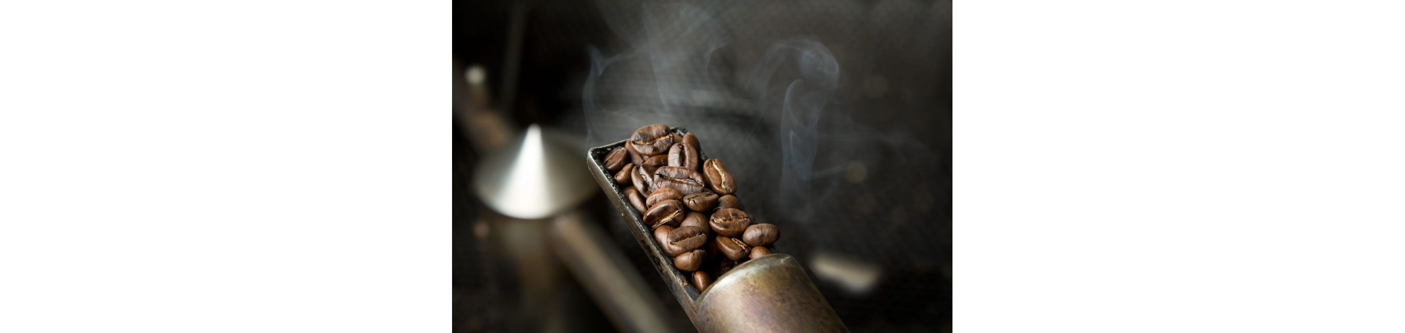 A small scoop of freshly roasted coffee beans.