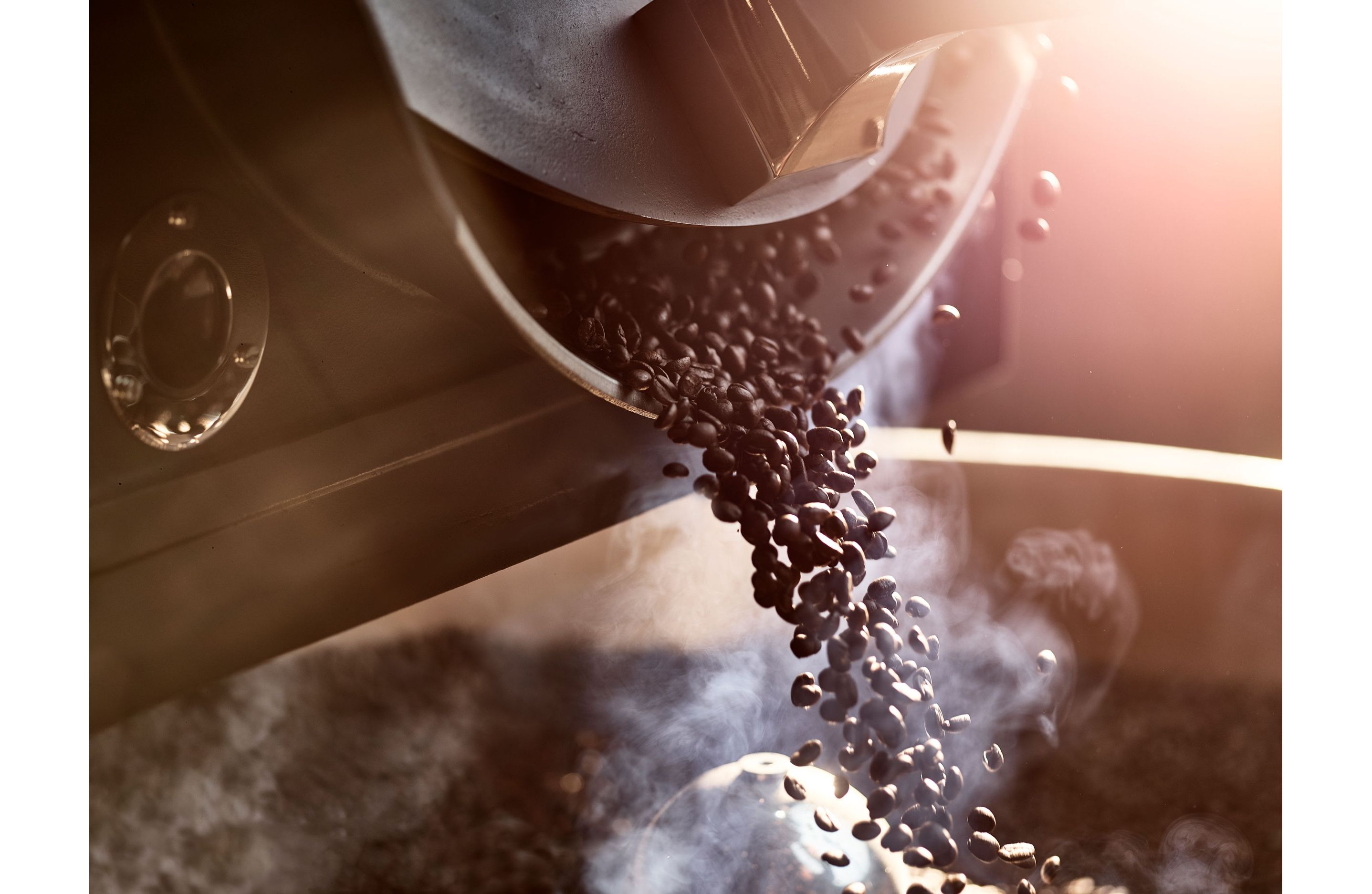 Roasted coffee beans pouring into a large container to cool.