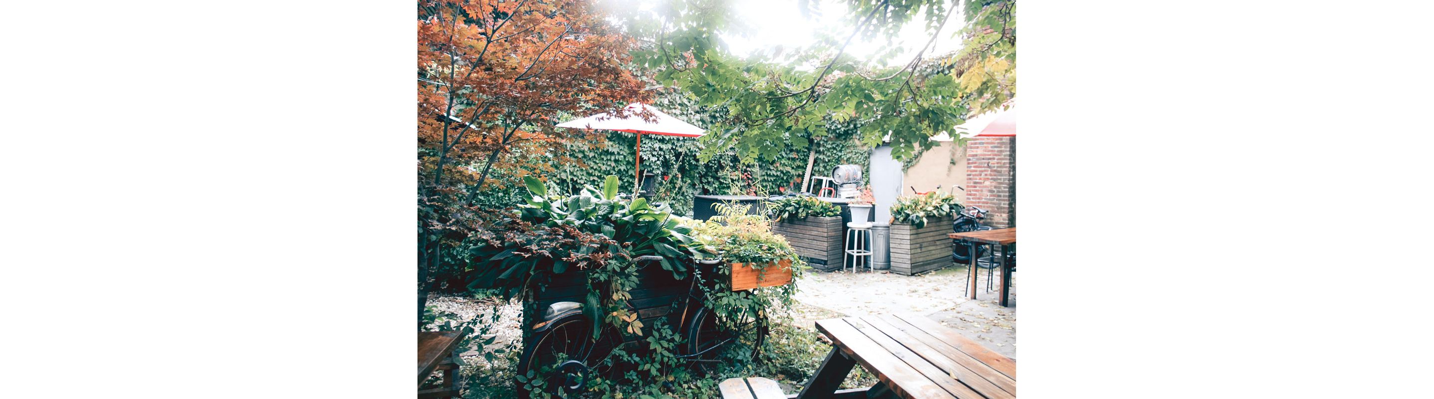 A patio with lush foliage, seating and bikes.