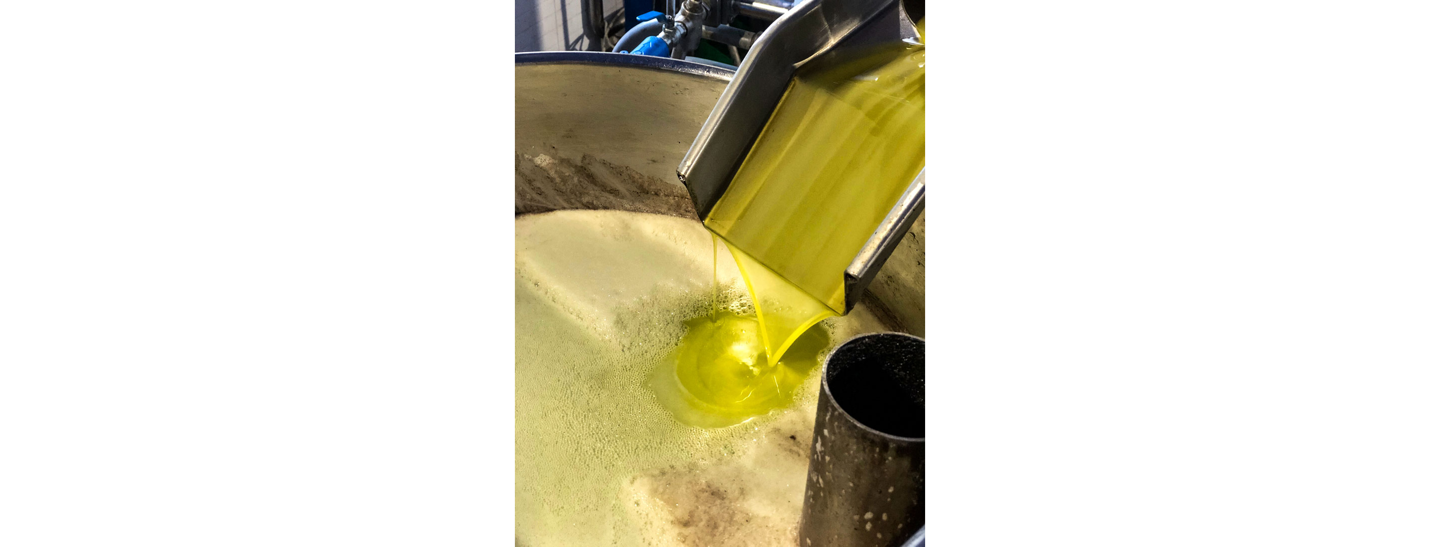Olive oil in a large container.