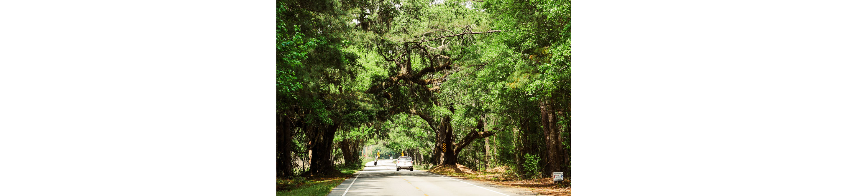 Country road with a white vehicle and motorcycle driving surrounded by oak trees .