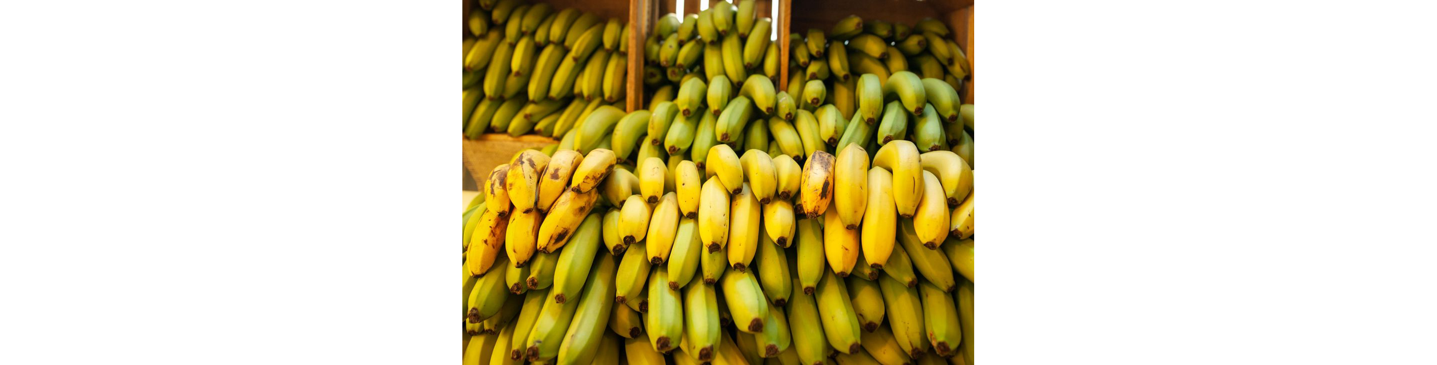 Seemingly endless bundles of yellow bananas.
