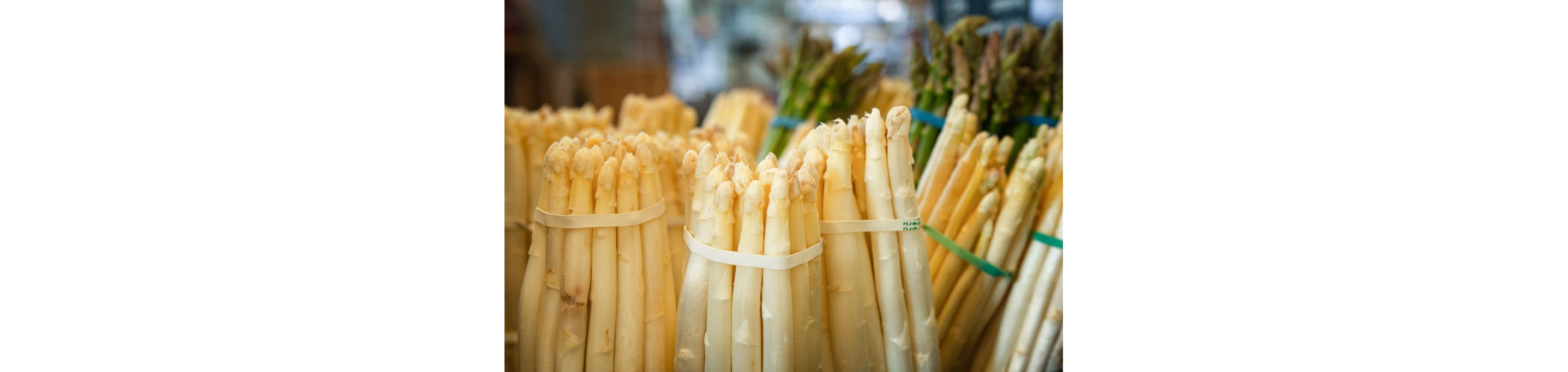 Several bundles of white asparagus.