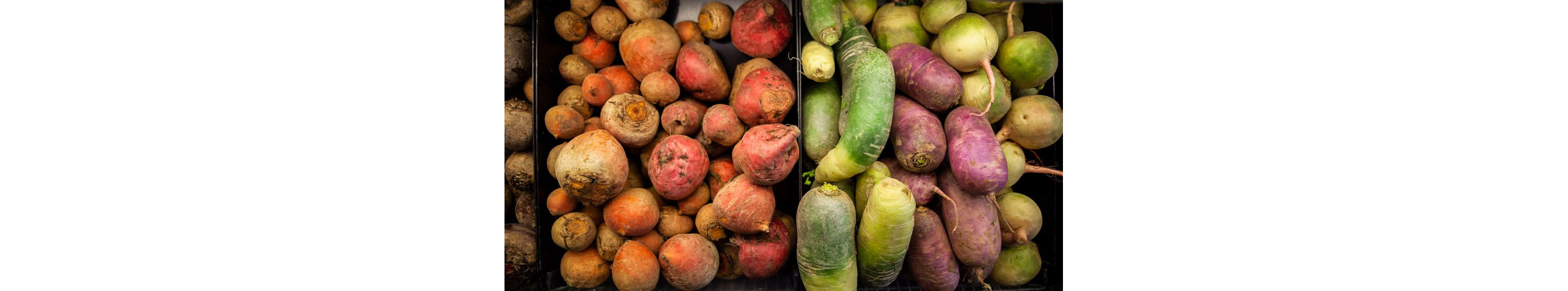 A colorful array of different types of potatoes.
