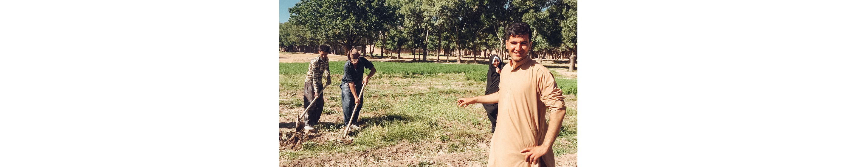 Mohammad Salehi admiring the work of his farmers.