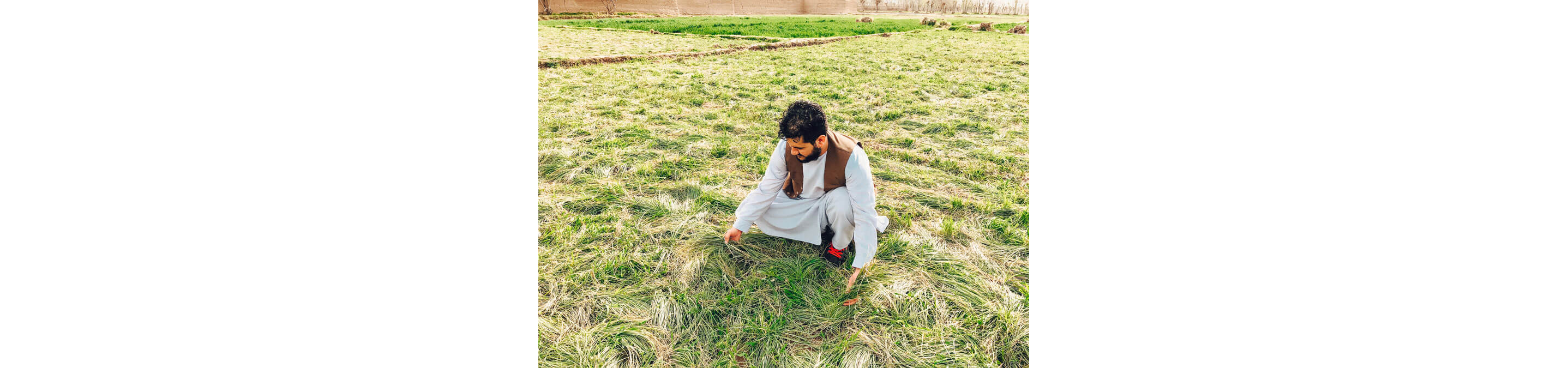 Mohammad Salehi working in the field.