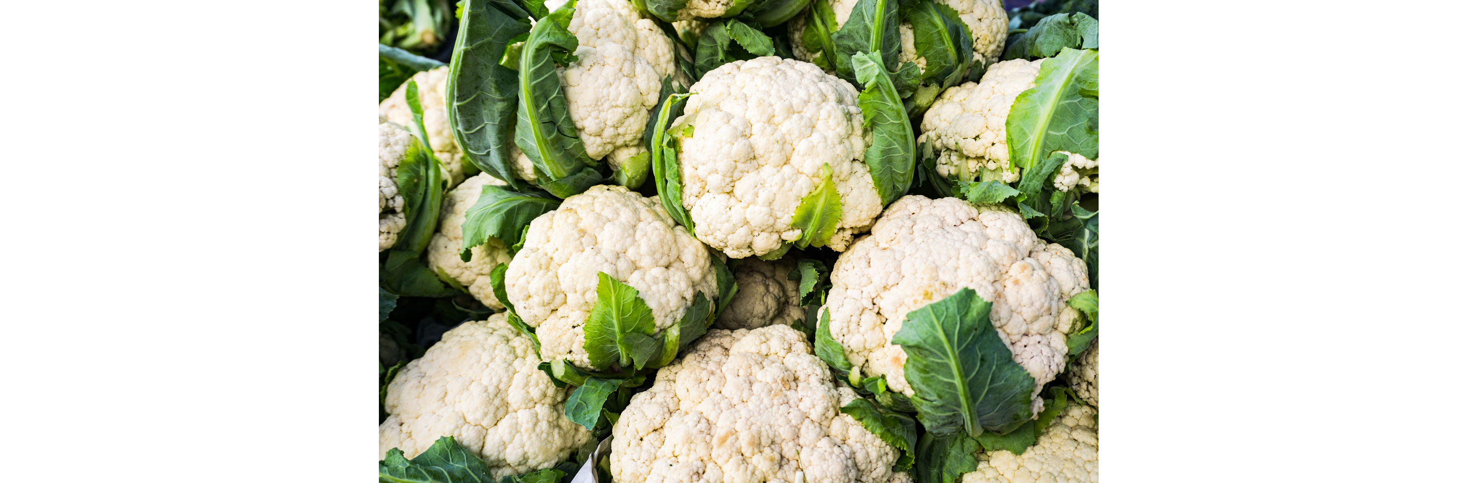 A large pile of clean, whole cauliflower.