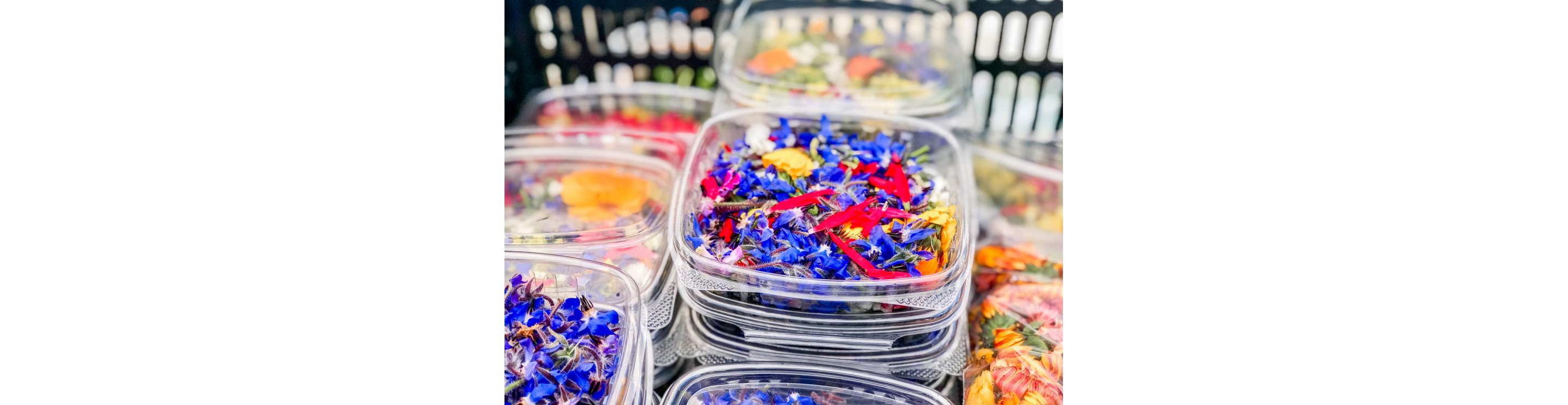 Clear containers filled with a variety of edible flowers.