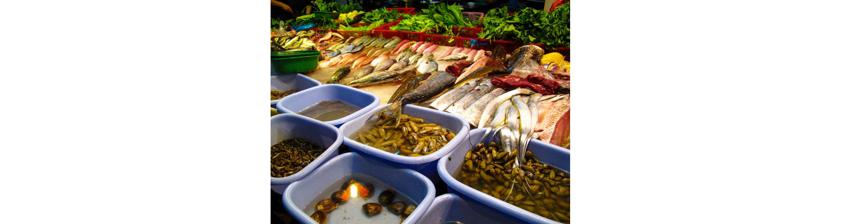 Seafood out for selection.