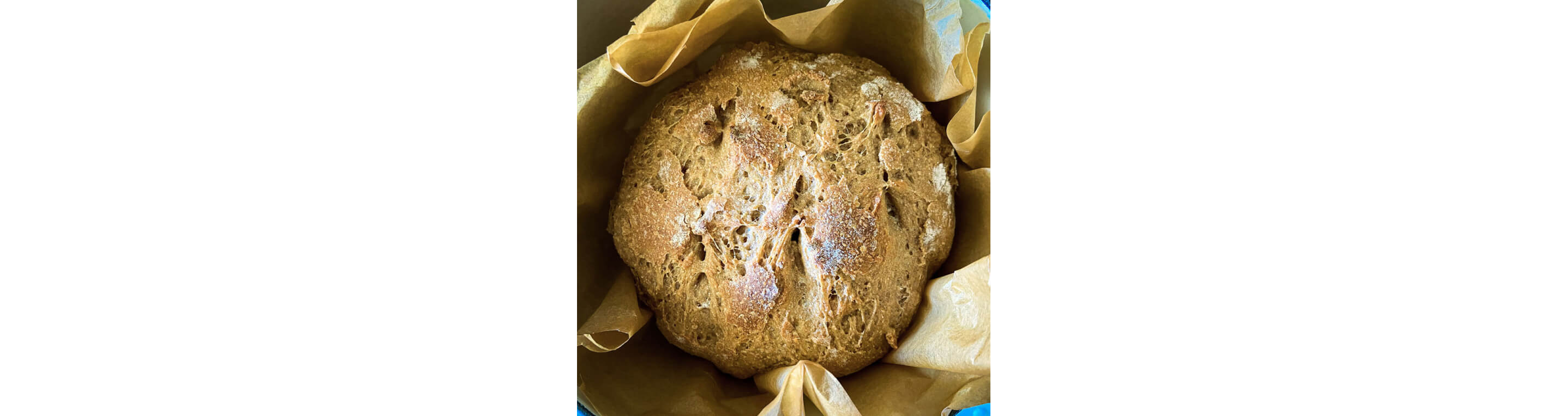  Overhead shot of loaf of baked crusty bread.