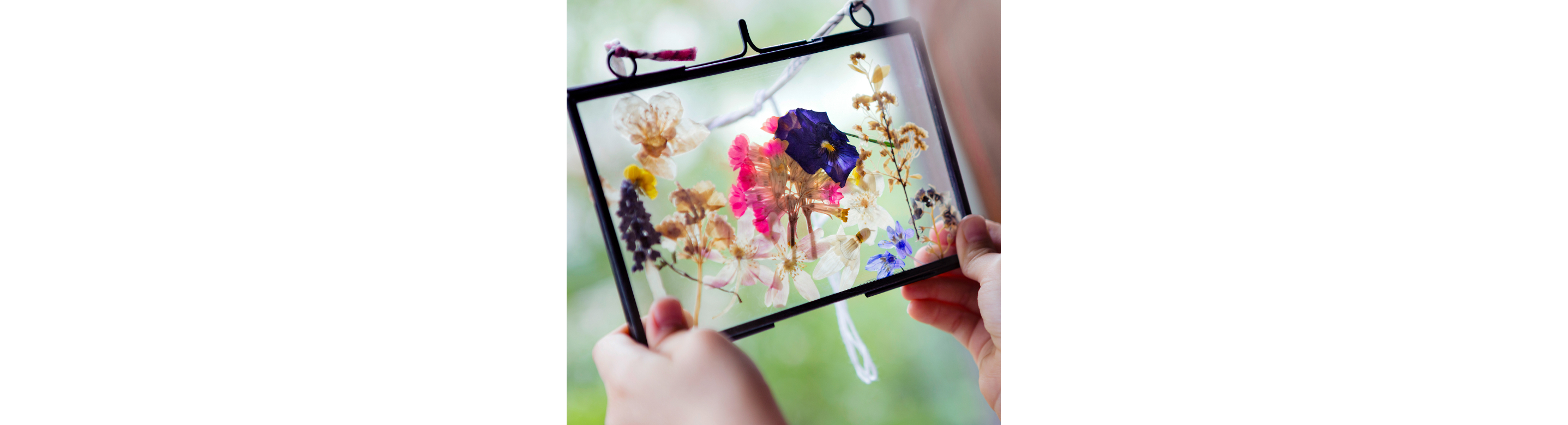 Pressed florals in a frame. 