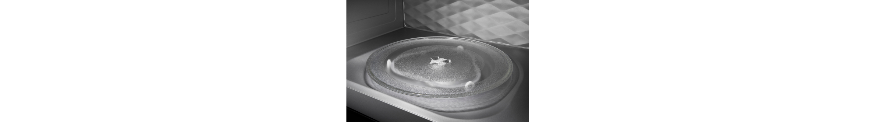Microwave turntable