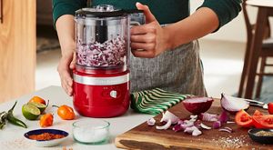 Dicing discount food processor