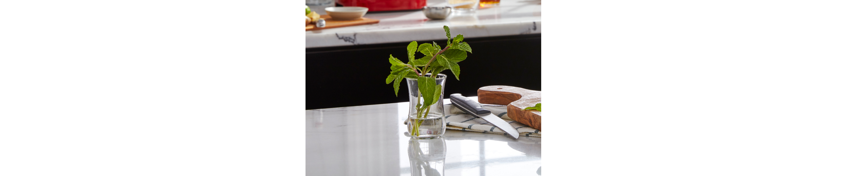 Fresh mint leaves in a glass