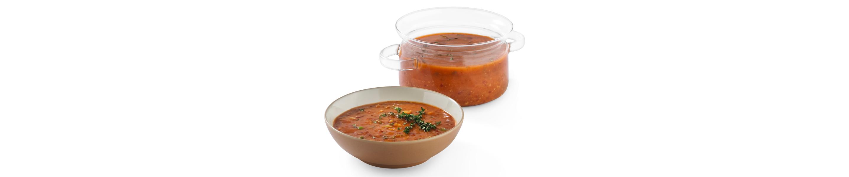 A bowl of garnished blender salsa