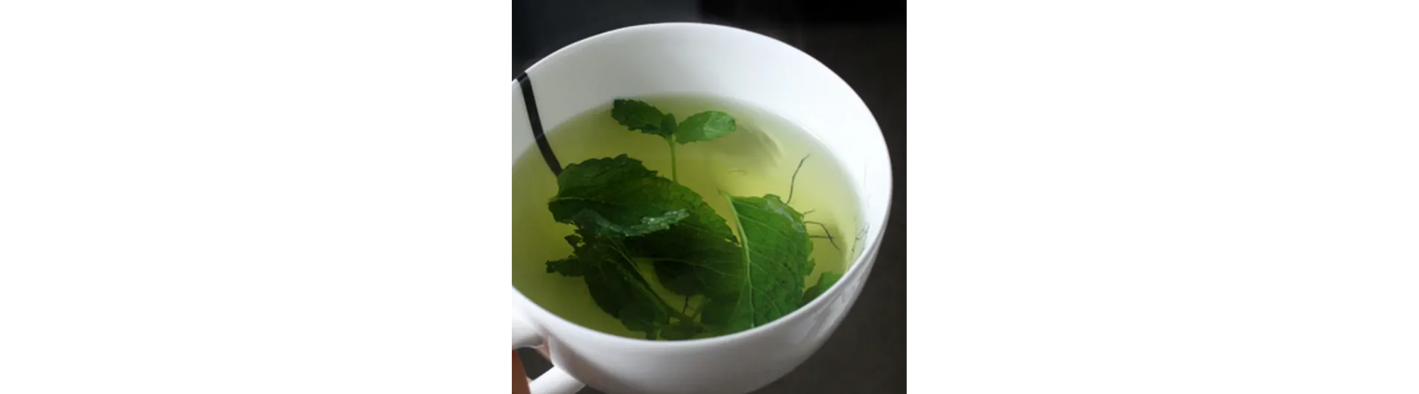 Mug of herbal tea