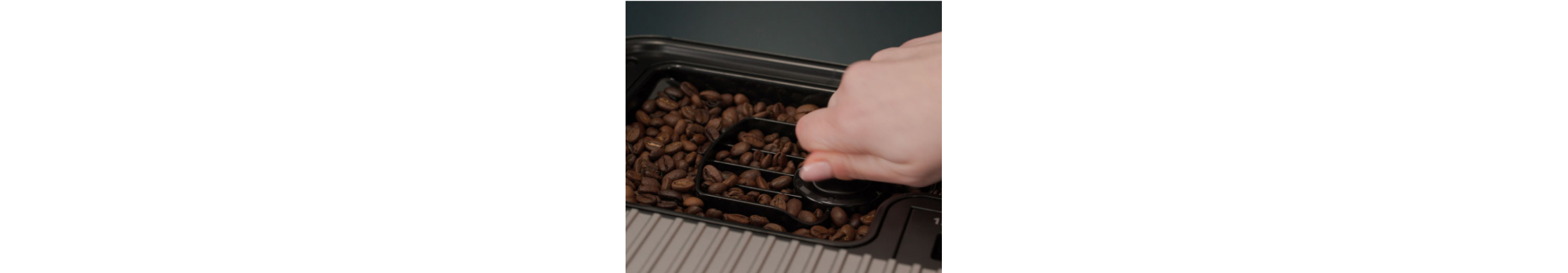 Whole coffe beans in a bean hopper