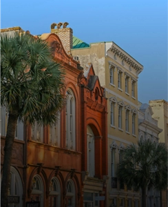 Colorful buildings with palm trees in front.