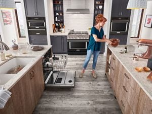 Kitchenaid professional dishwasher clearance