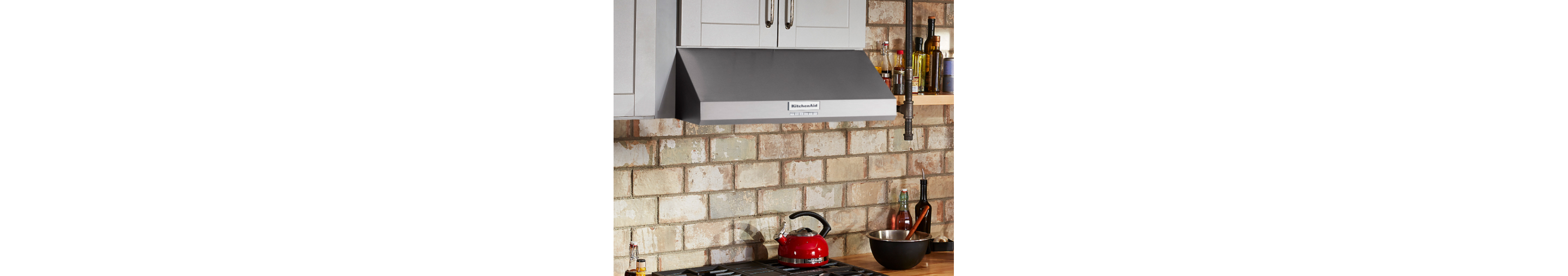 Wall mount range hood
