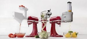 Difference between food outlet processor and mixer