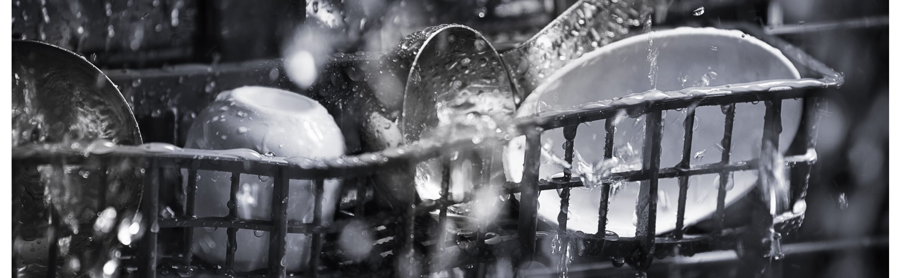 Close-up of dishes rinsing inside of a dishwasher