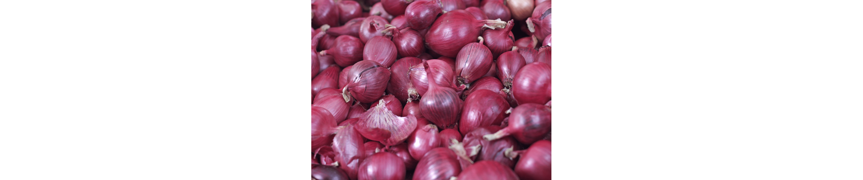 Whole red onions