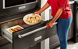 Kitchenaid drawer dishwasher cheap repair