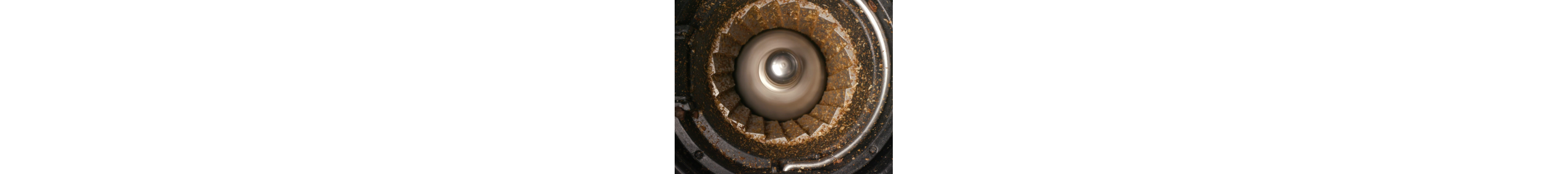 Interior of burr grinder