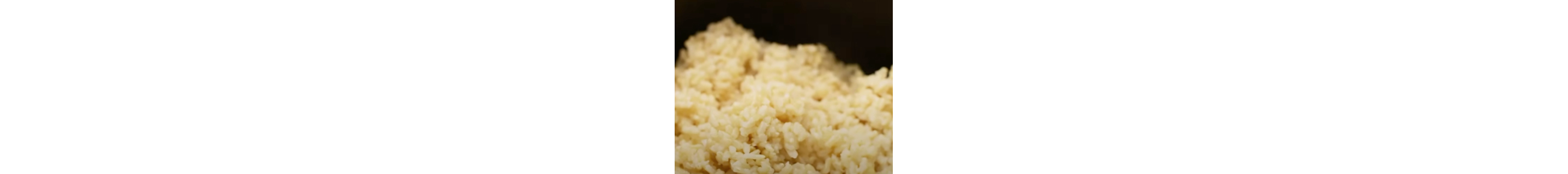 Close up image of seasoned rice