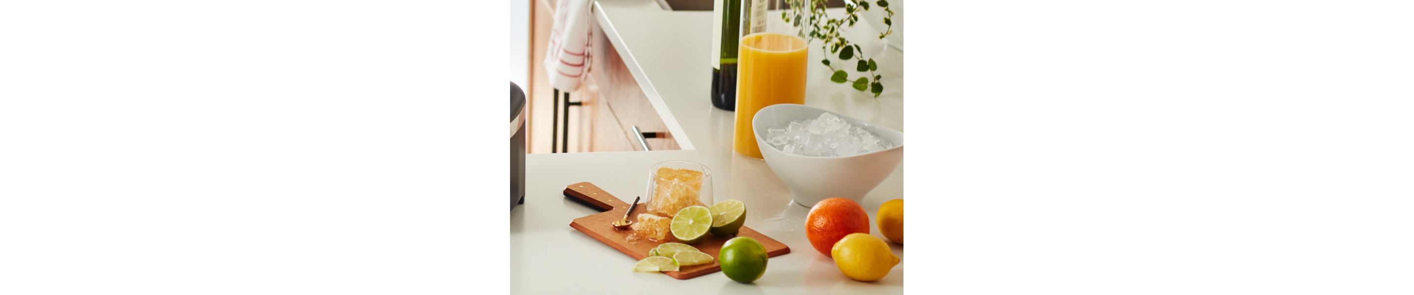 Ice and cut up fruit on a countertop