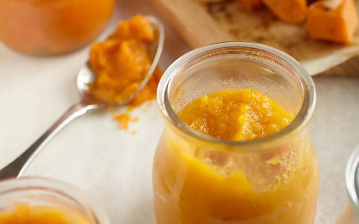 Food processor to outlet make baby food