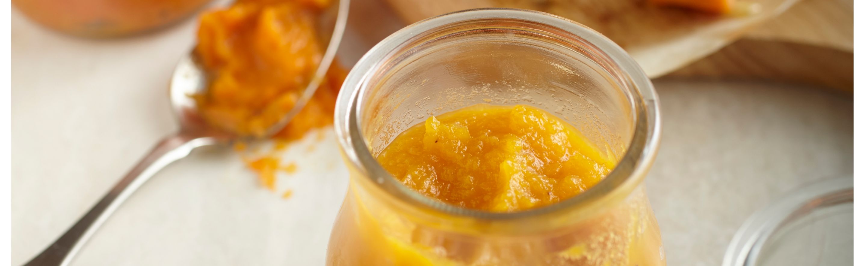 Homemade baby food maker top