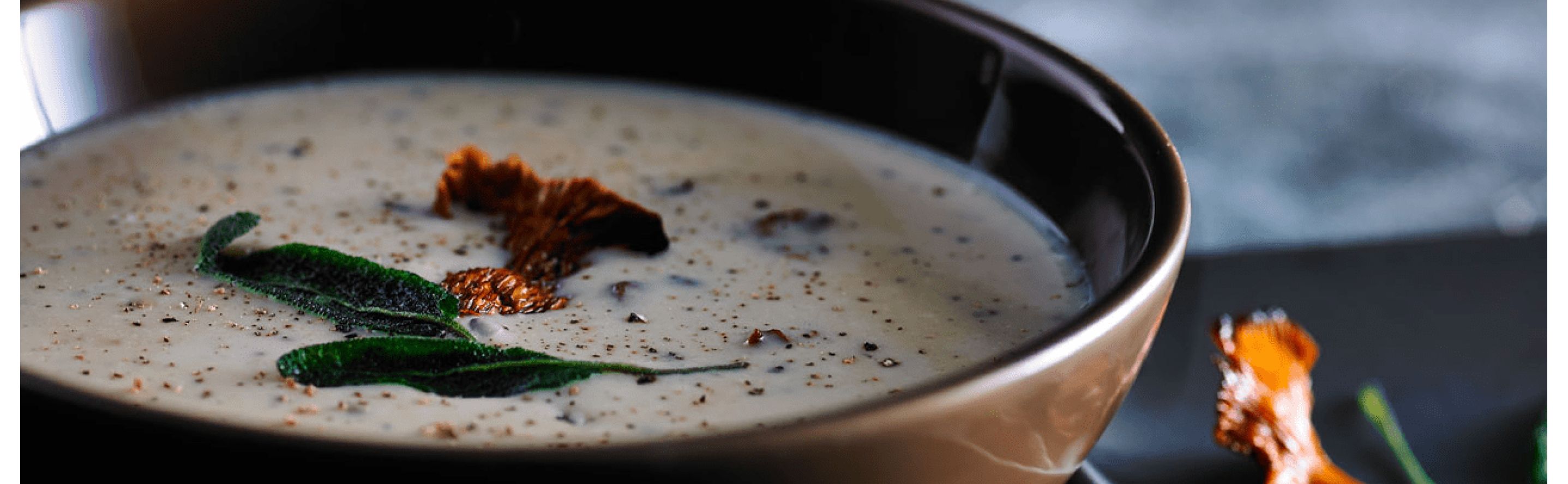 Hand shop blender soup
