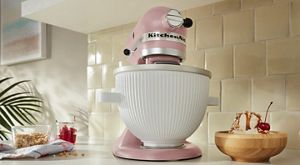 vegan ice cream machine
