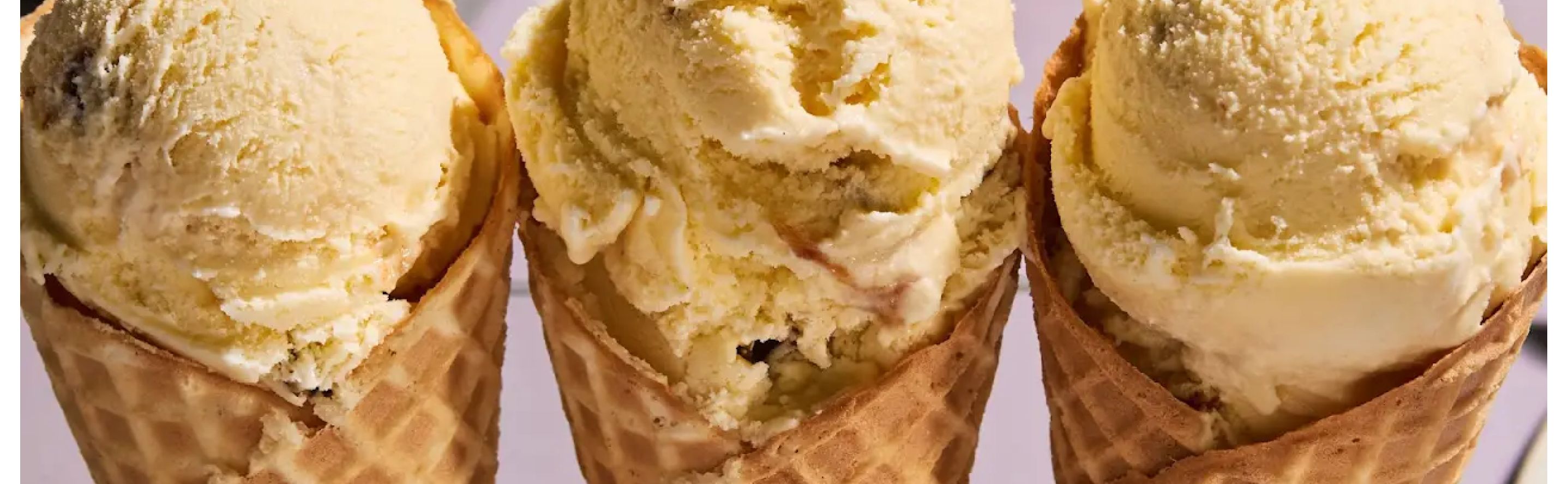 Can you make vegan ice cream in an ice cream maker outlet