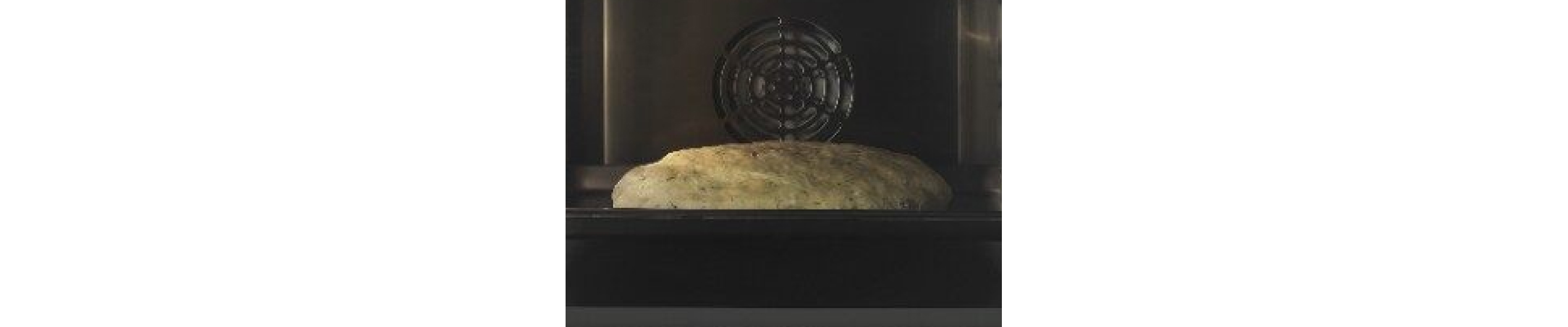 Bread dough proofing in an oven