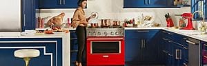 Kitchenaid propane deals stove