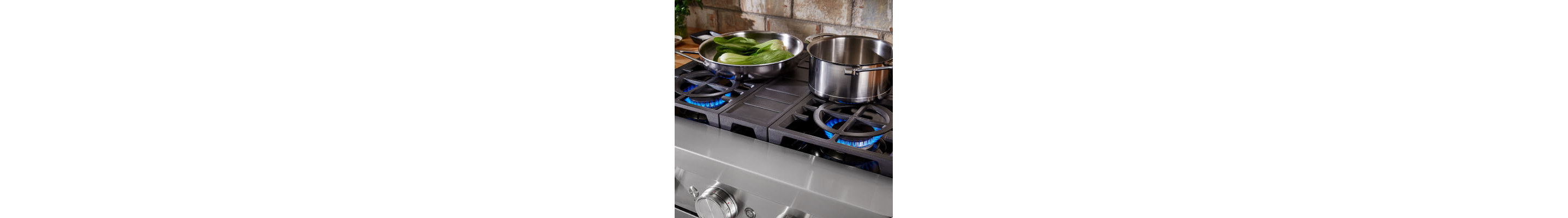 Dual fuel range