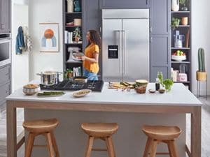 Large stainless steel shop fridge