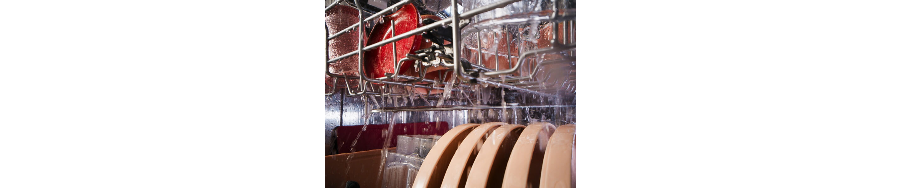 Close-up of dishes rinsing in the dishwasher