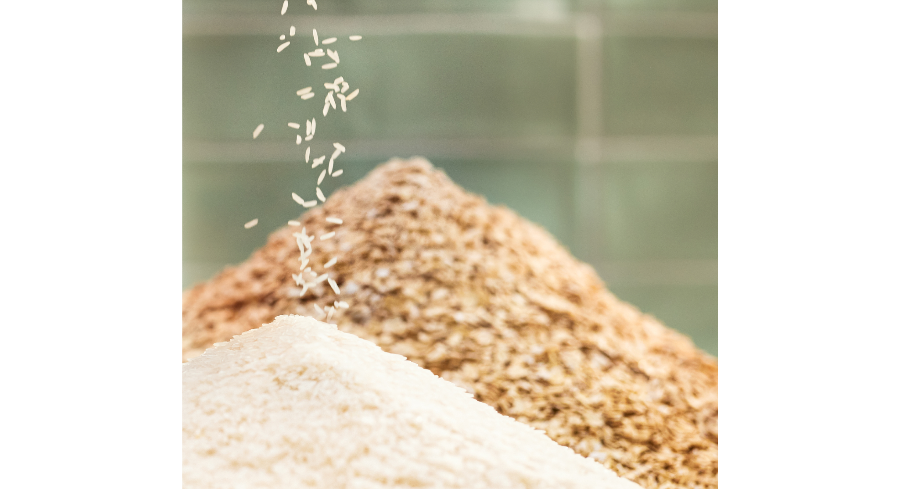 Large pile of uncooked rice