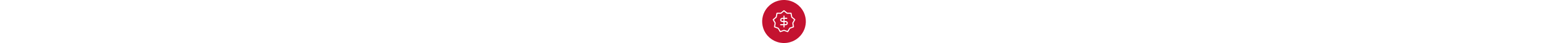 Savings Icon