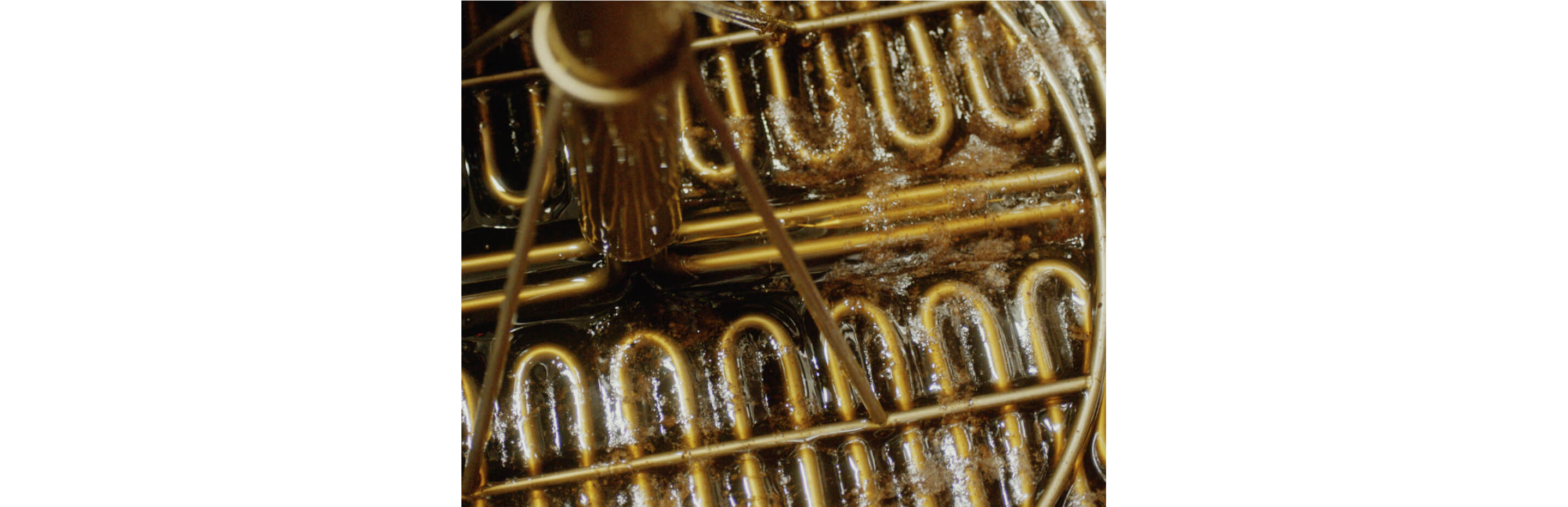 Honey going through the mead process.