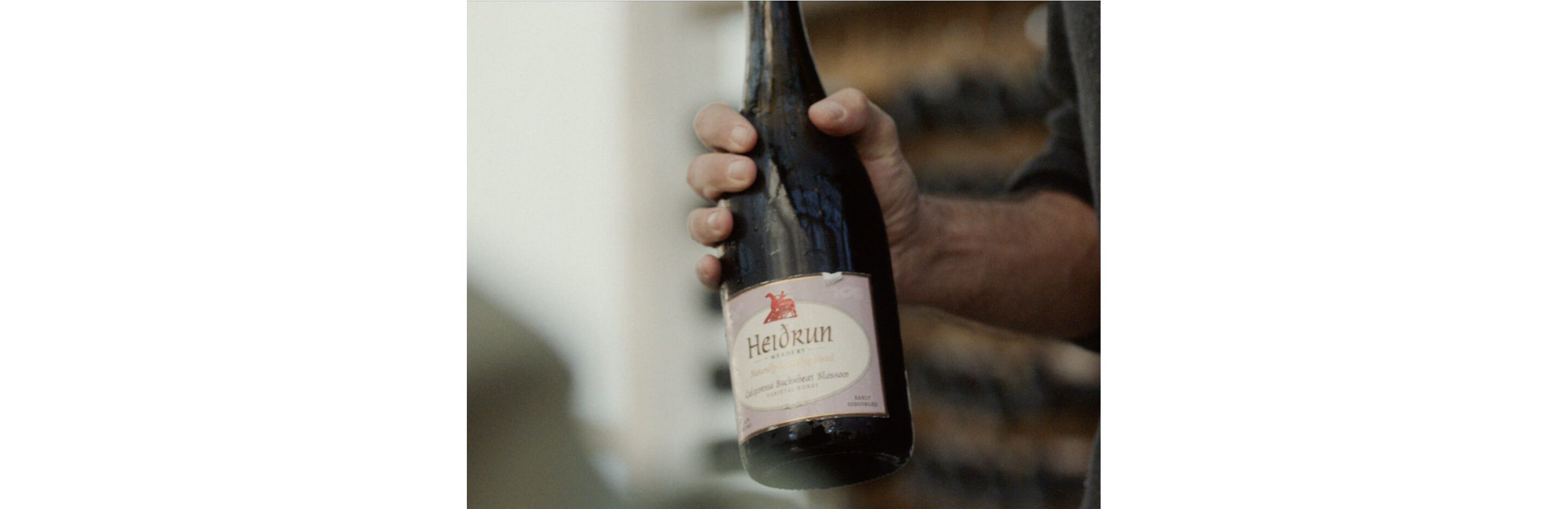 A person holding a bottle of mead.